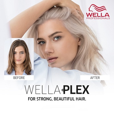 Why We Choose Wellaplex