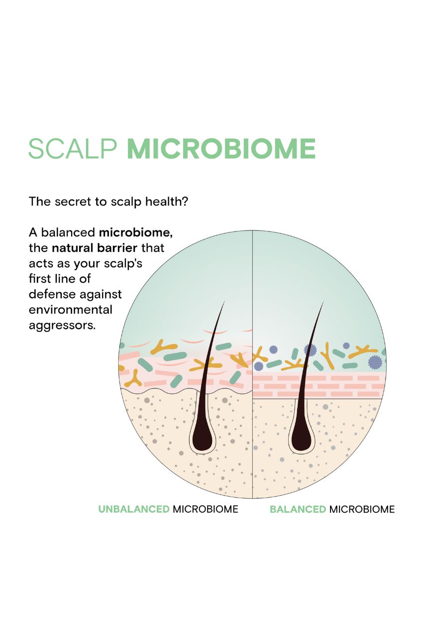 Illustration showing balanced versus unbalanced scalp microbiome with Joico Scalp Vitality Illustration showing balanced versus unbalanced scalp microbiome with Joico Scalp Vitality